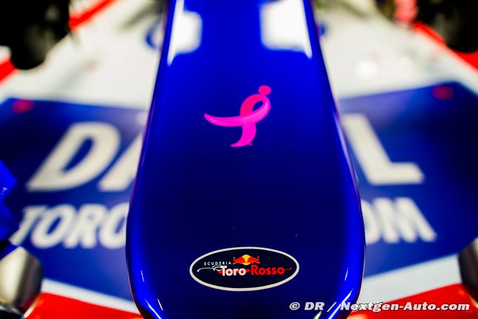 Toro Rosso holding Japanese culture