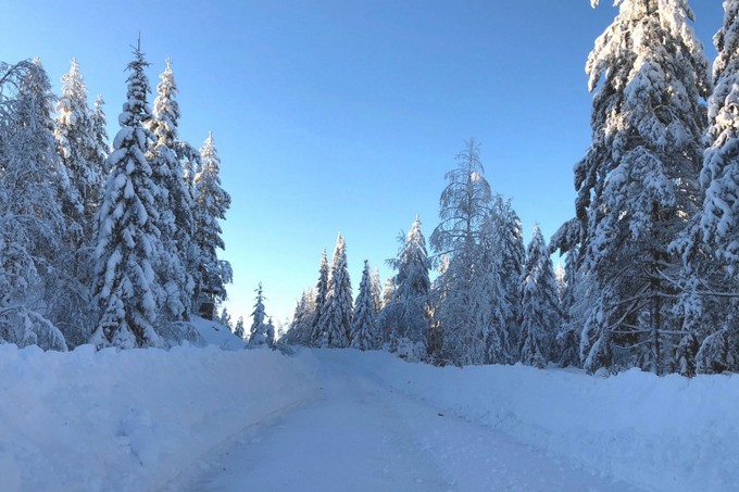Sweden's winter wonderland (...)