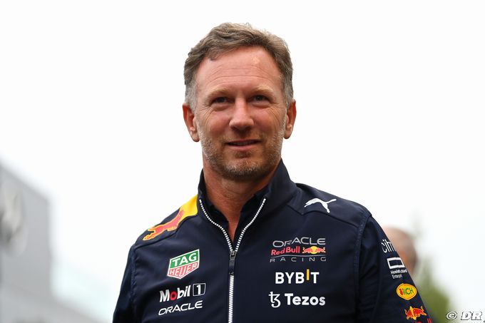Horner admits to being 'guilty' of