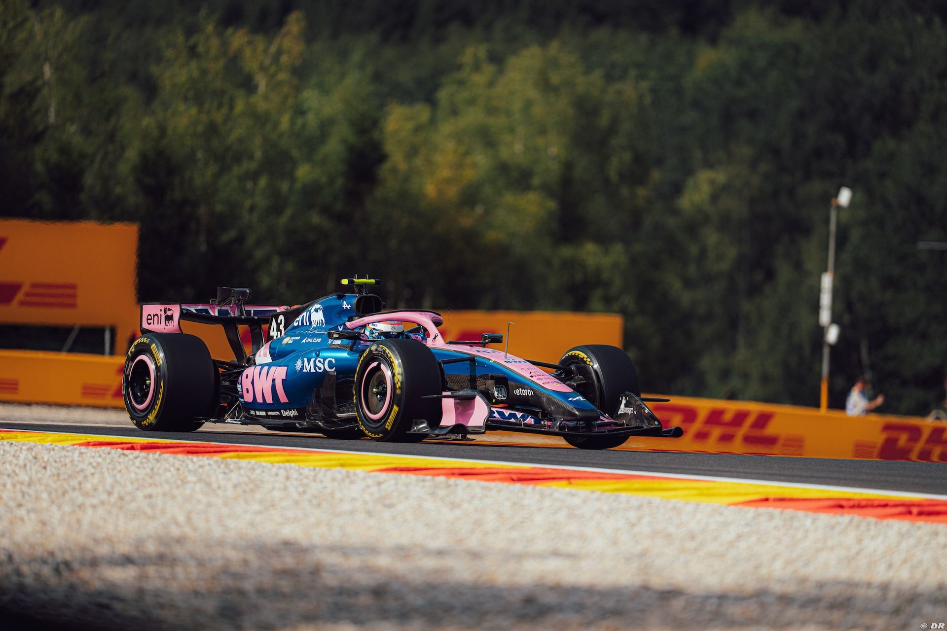 alpine_5_-7.jpg