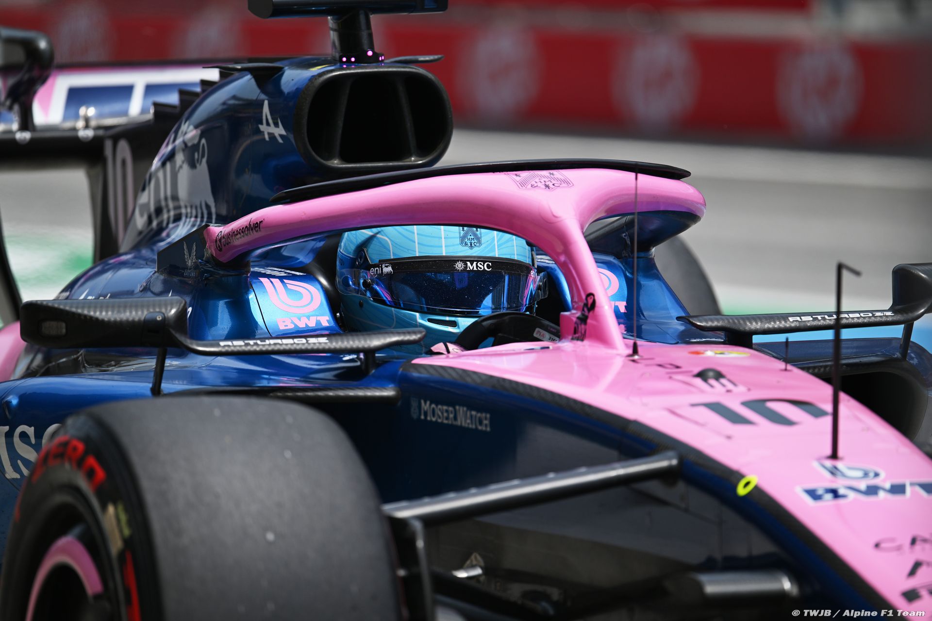 alpine_8_-6.jpg