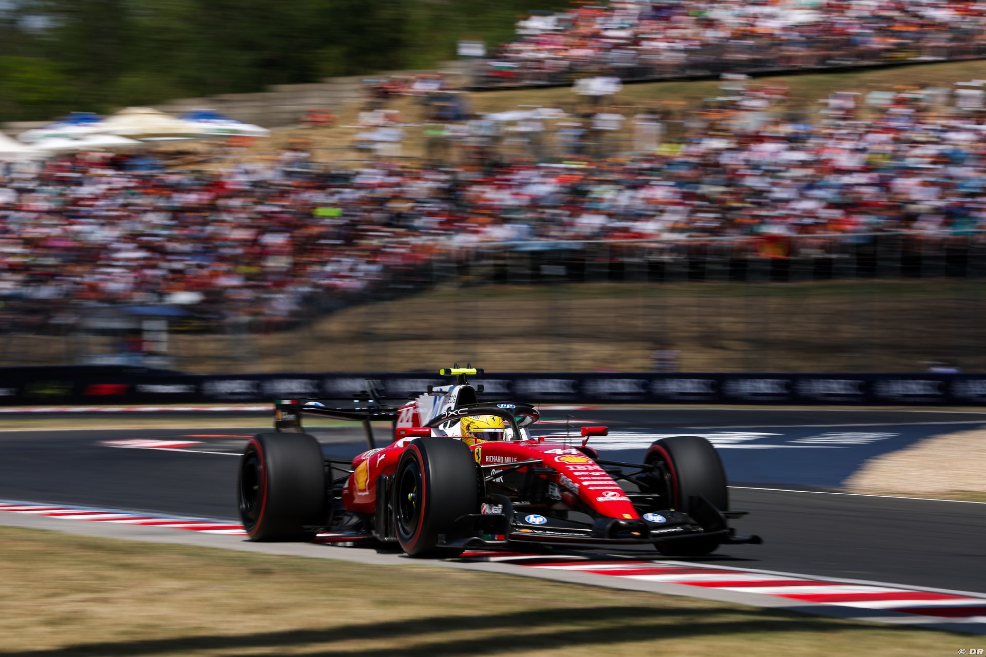 ferrari2_14_-8.jpg