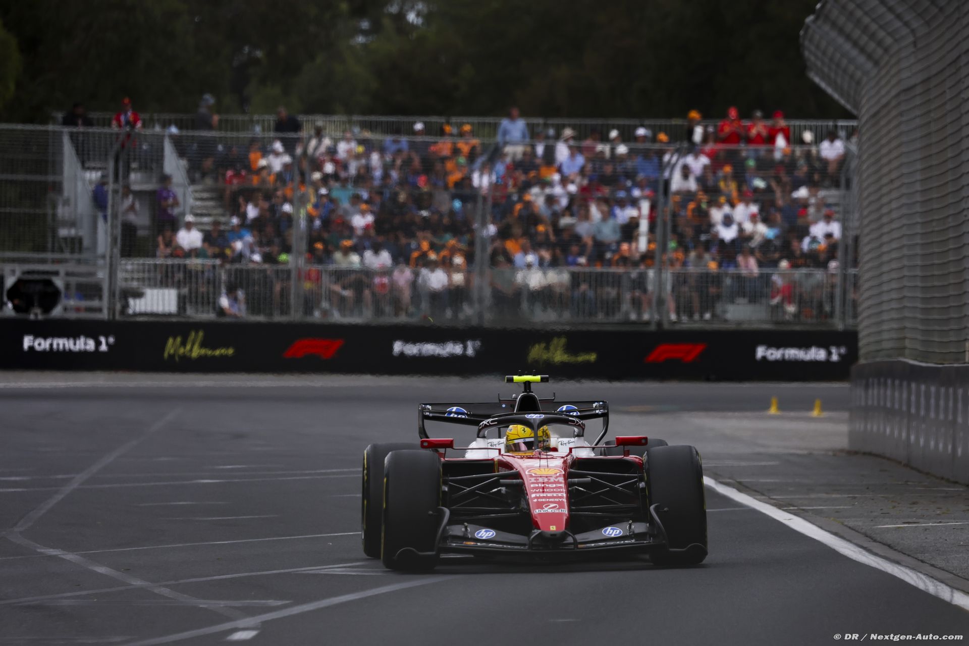 ferrari2_1_-11.jpg