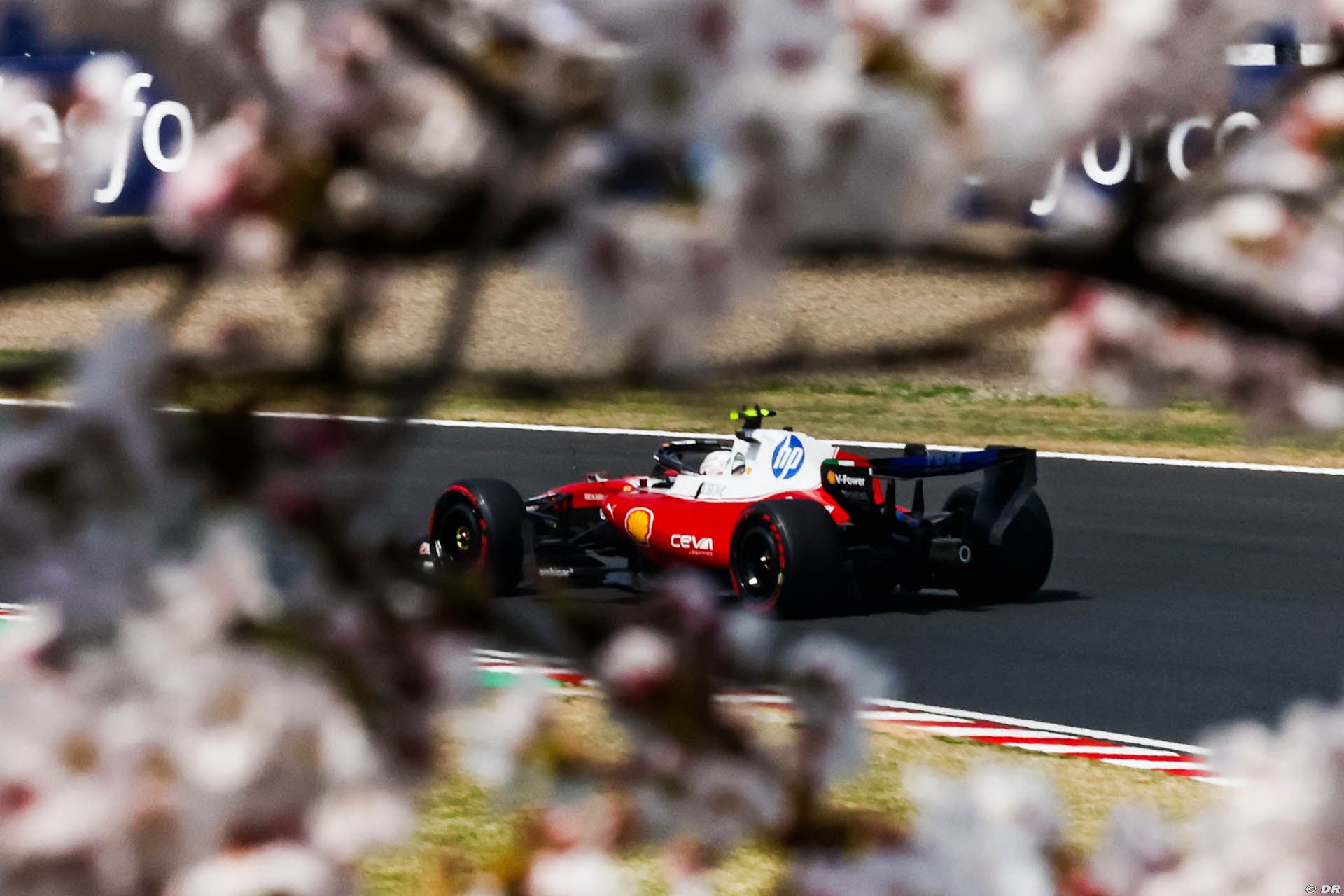 ferrari2_21_-2.jpg