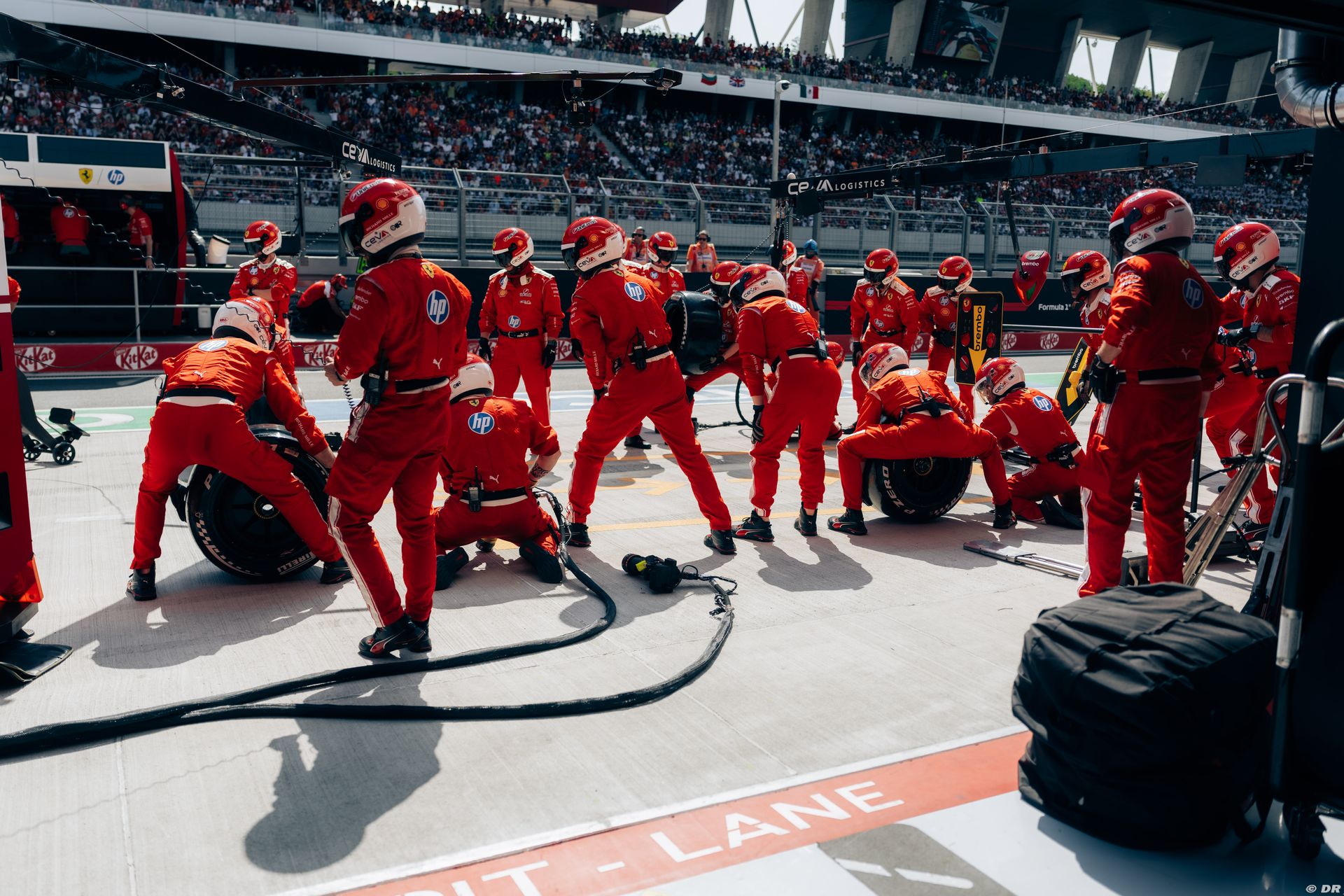 ferrari3_3_-9.jpg