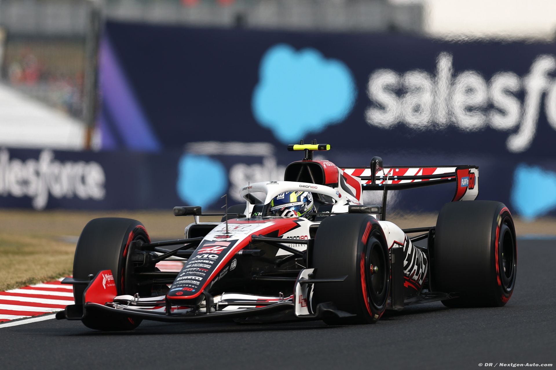 haas2_16_-4.jpg