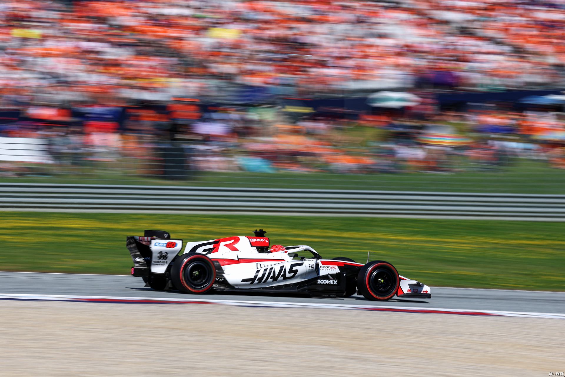 haas2_17_-6.jpg