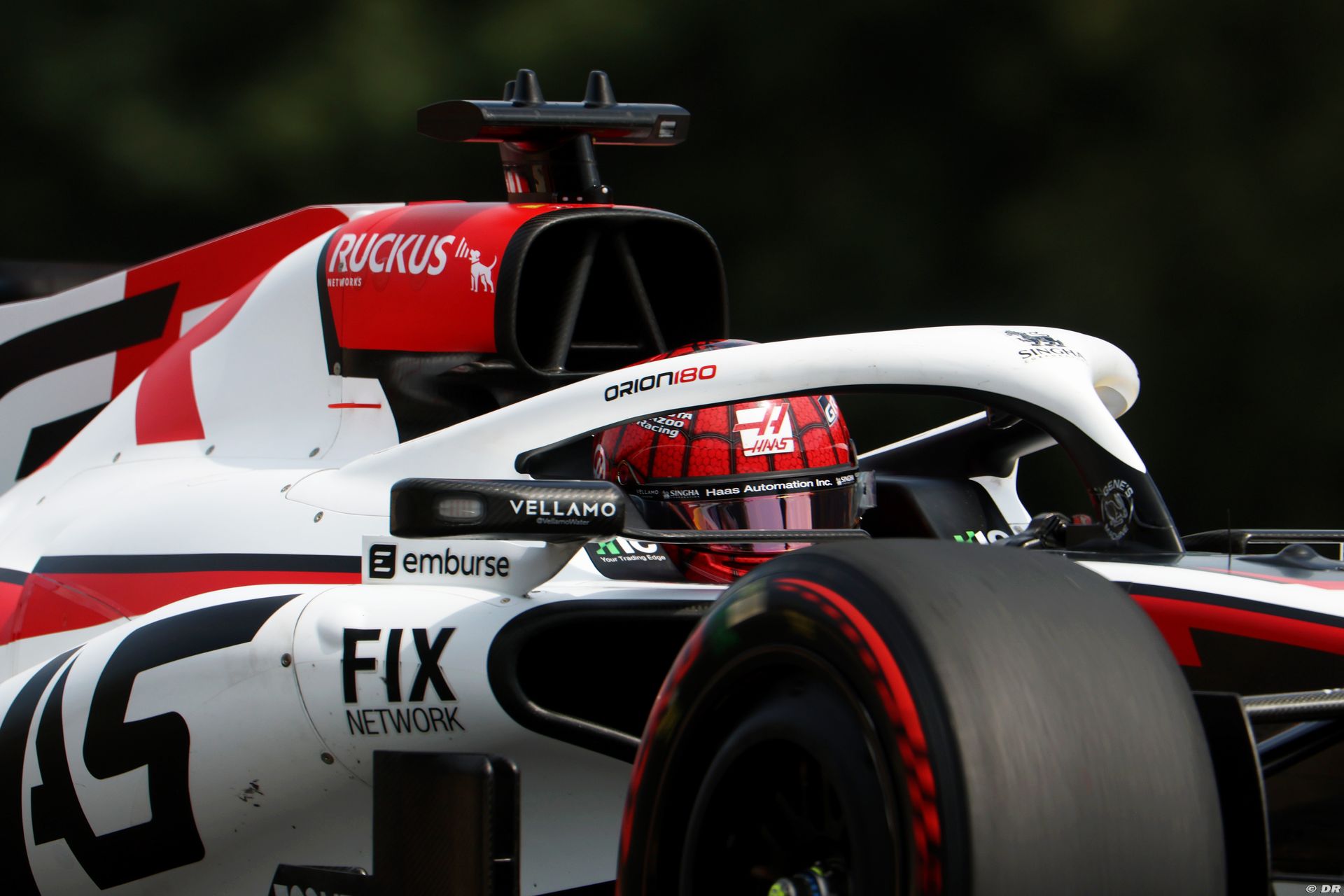 haas2_1_-5.jpg