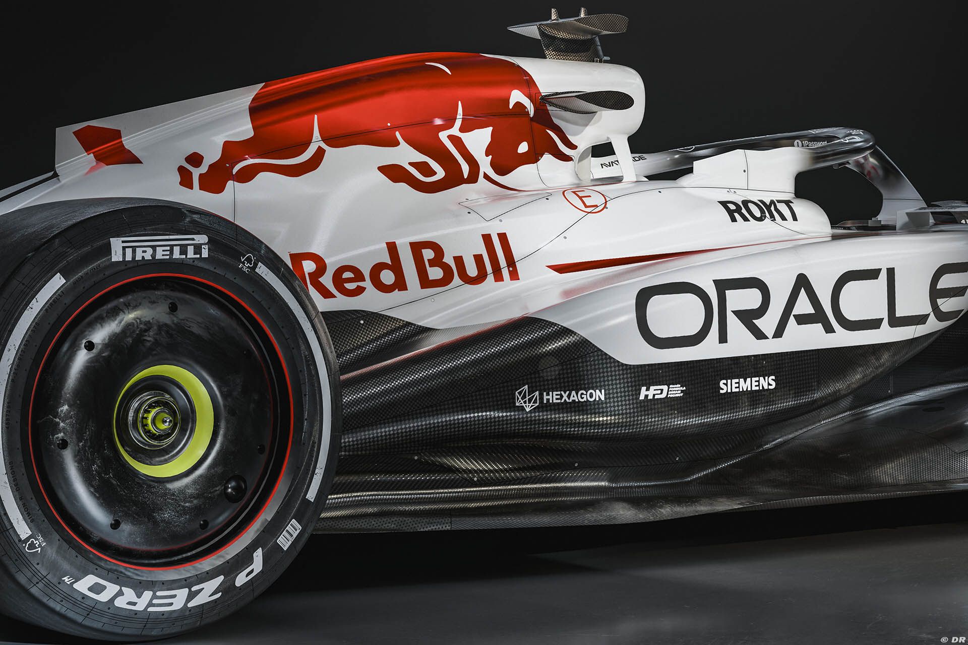 redbull-livery_16_-2.jpg