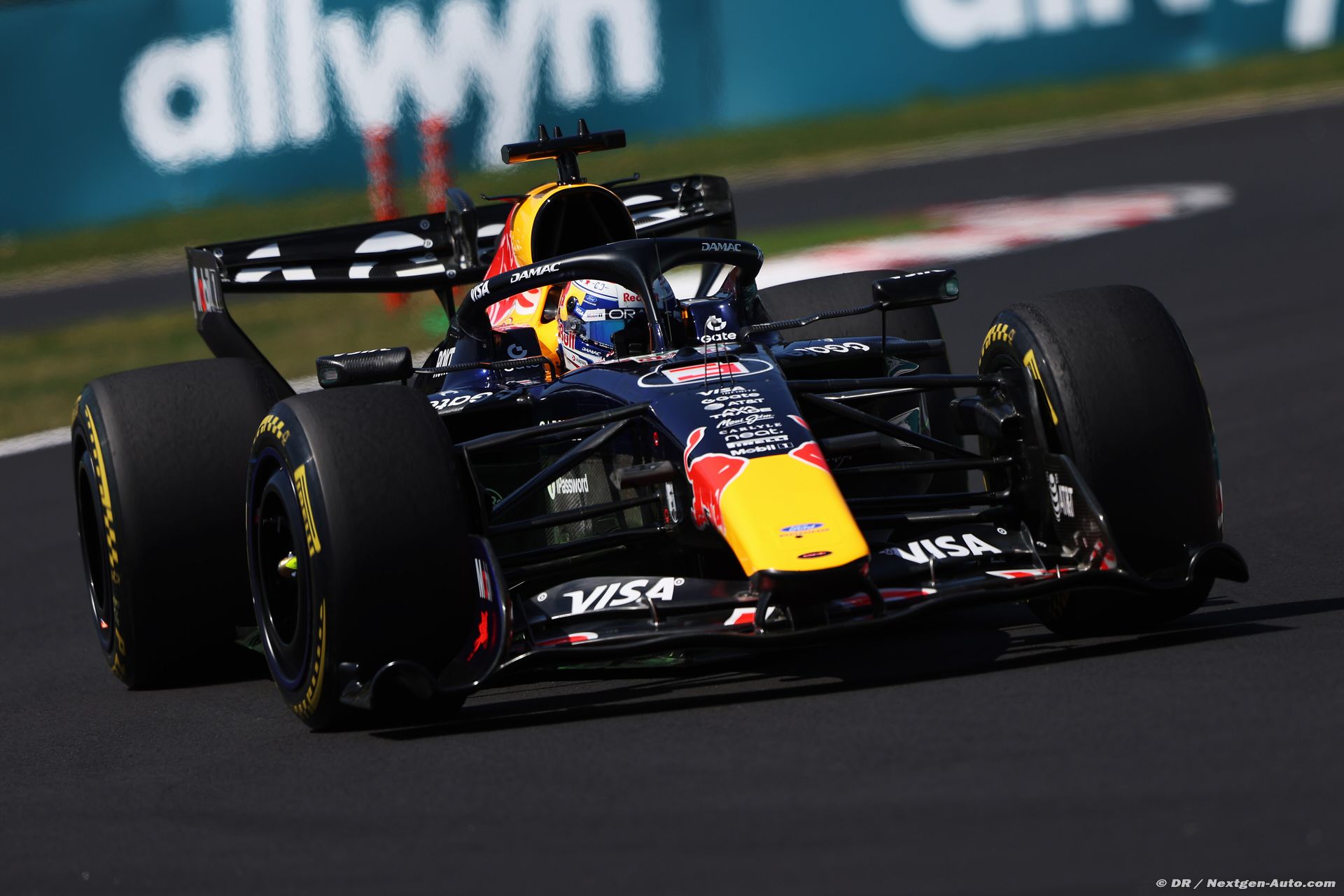 redbull1_61_-5.jpg