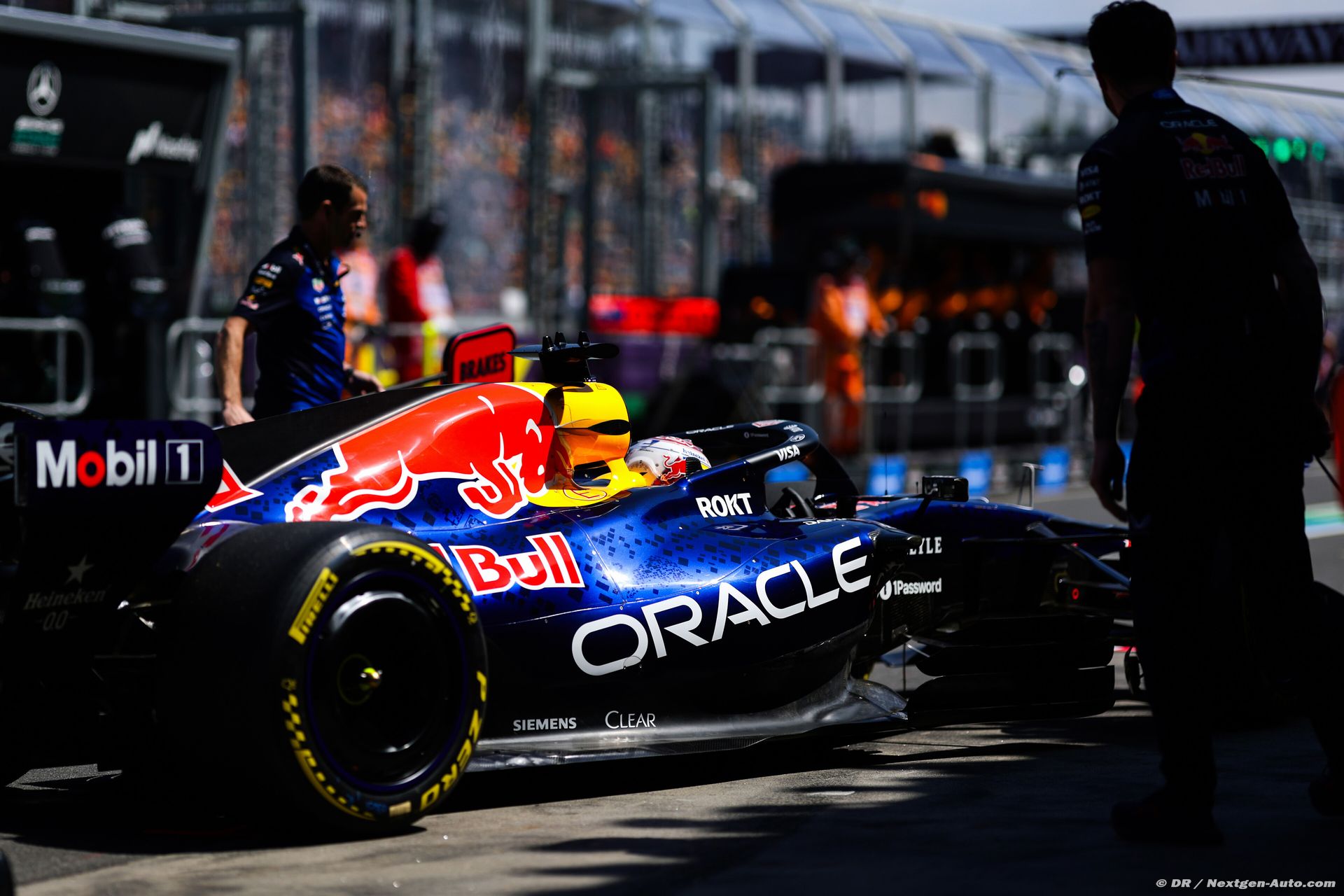 redbull1_77_-3.jpg