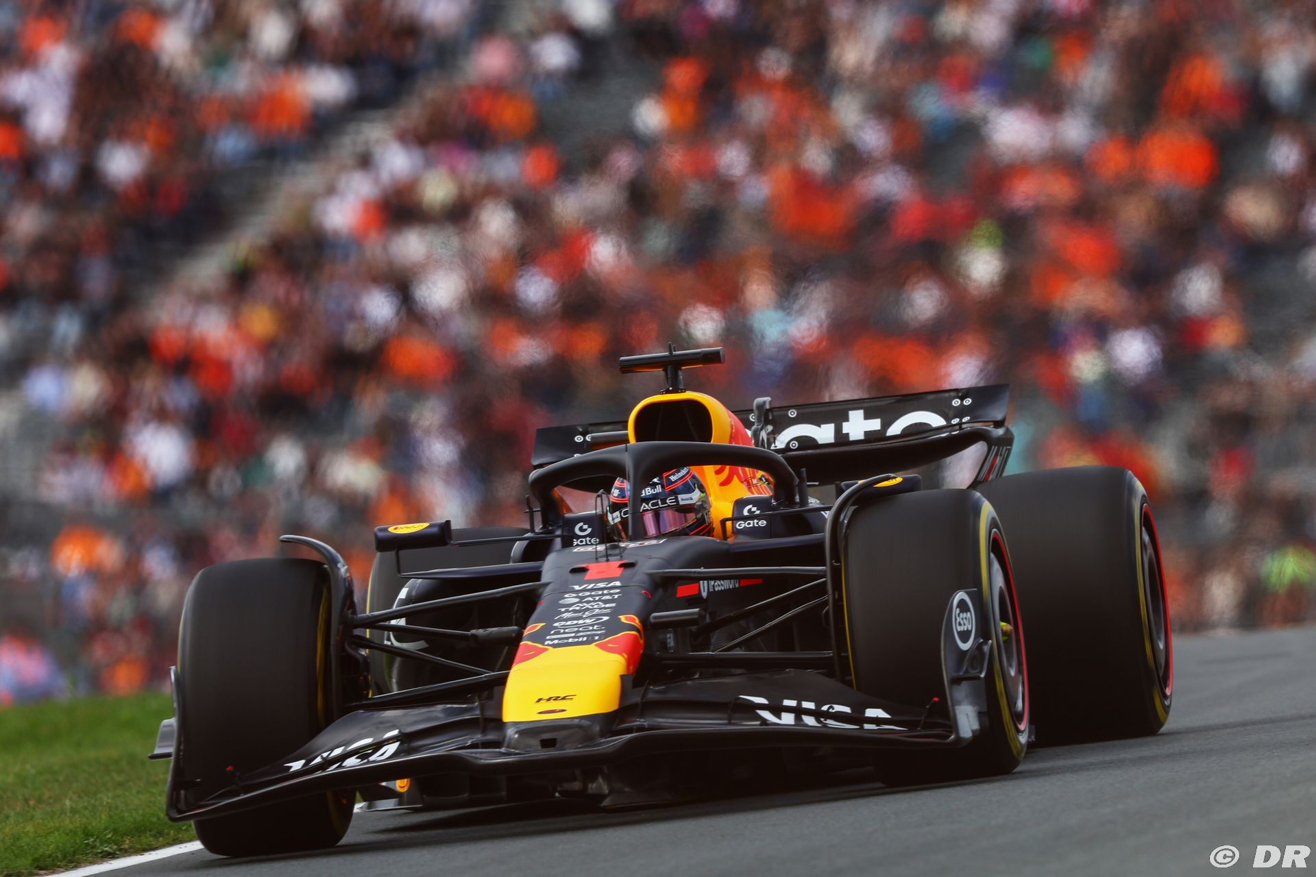 redbull1_82_-3.jpg