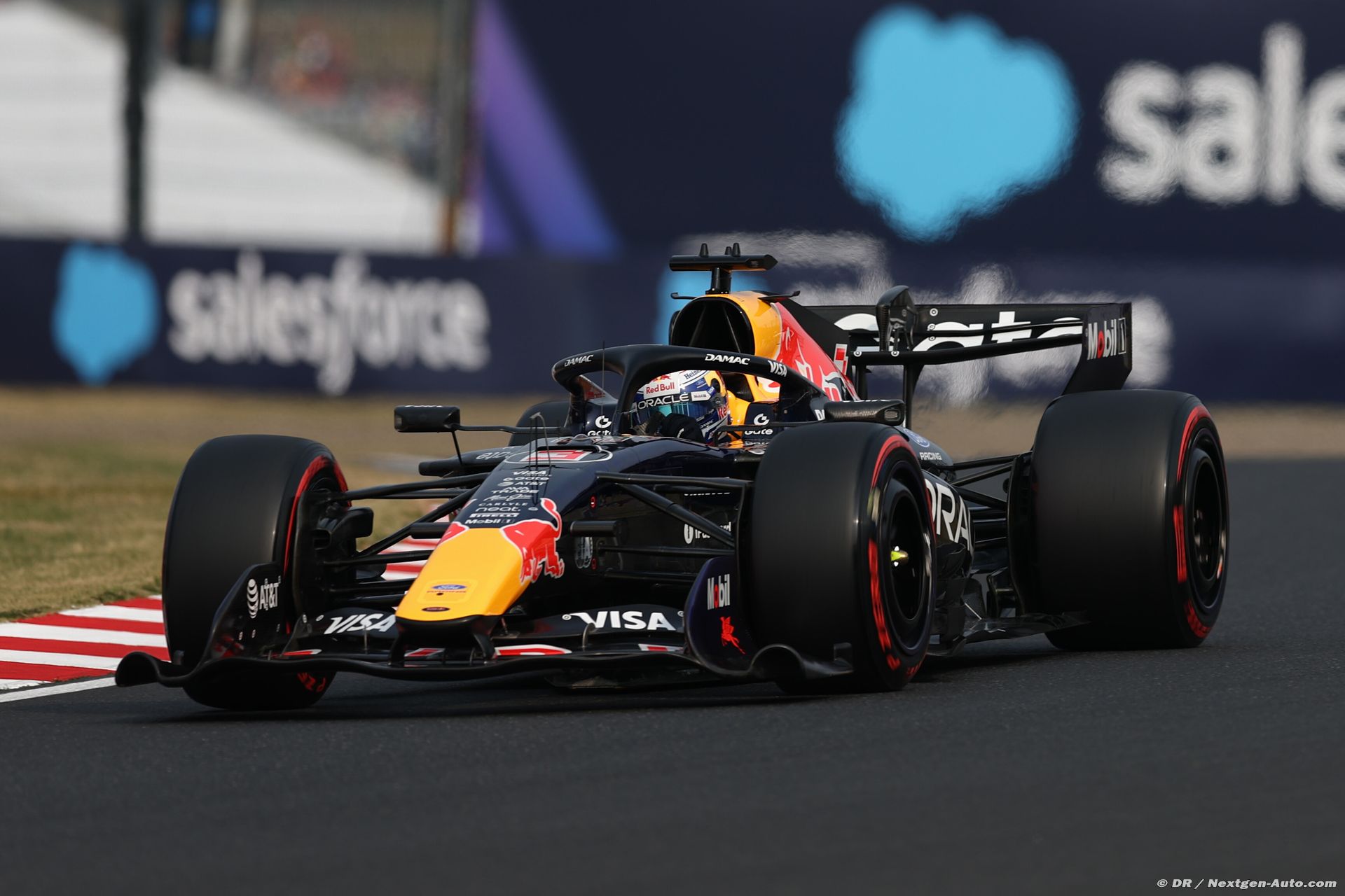 redbull2_155_-2.jpg