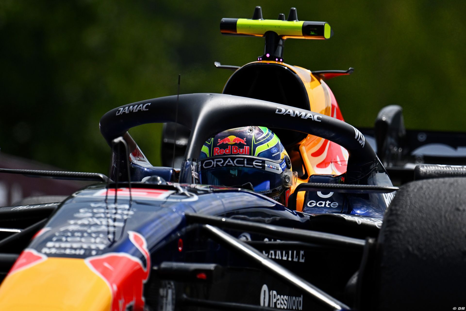 redbull2_27_-3.jpg