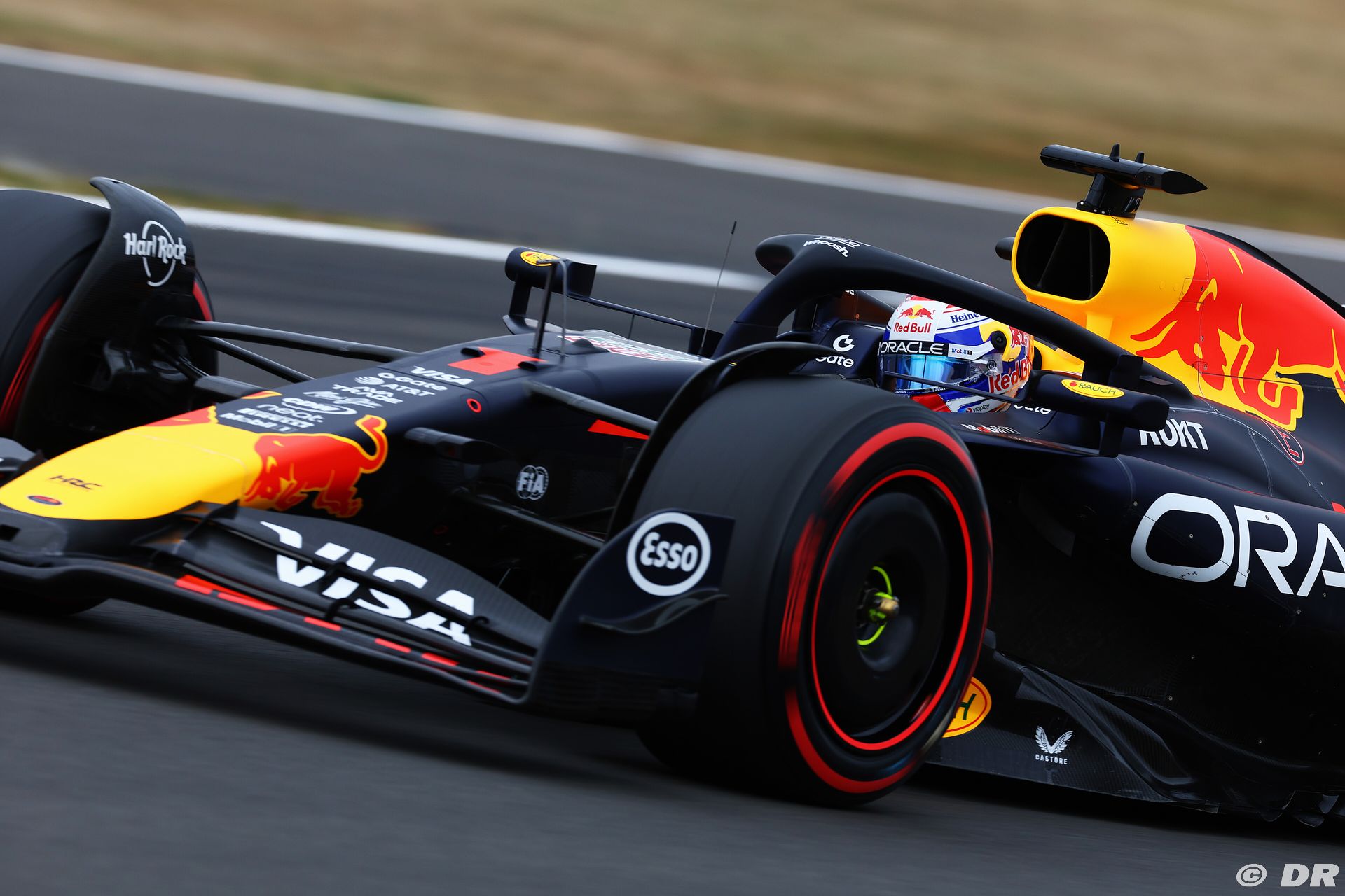 redbull2_76_-3.jpg