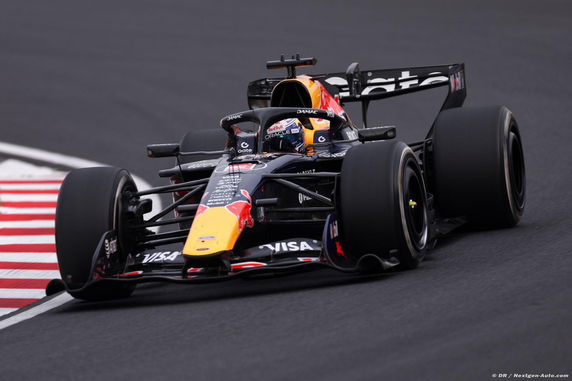 redbull3_100_-2.jpg