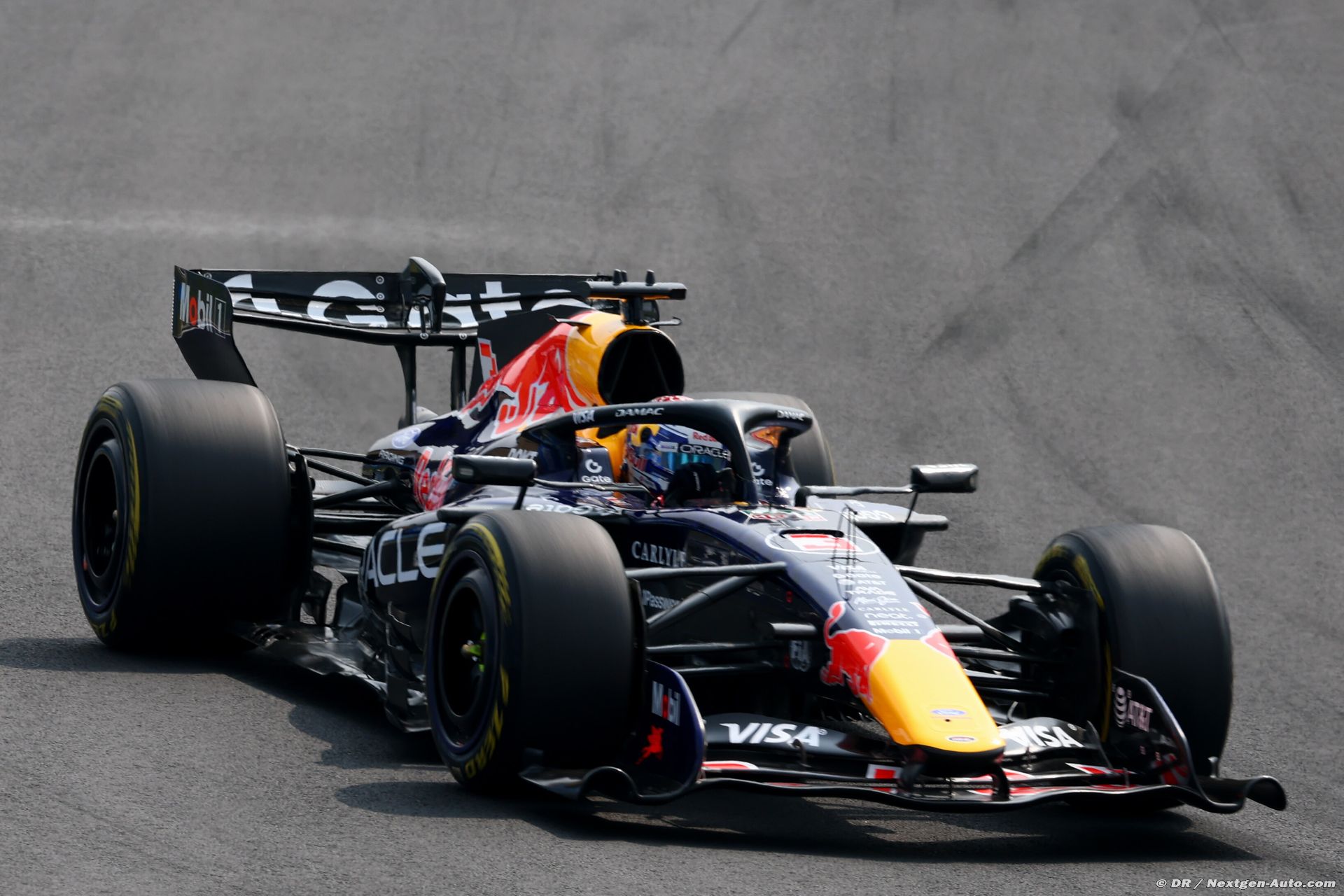 redbull3_50_-3.jpg