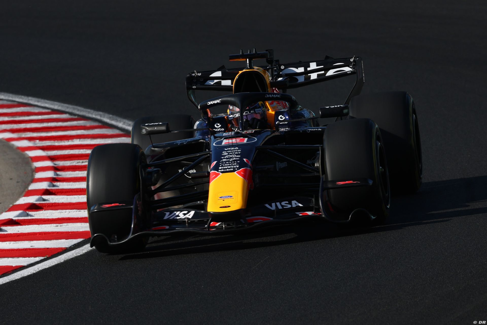 redbull_33_.jpg