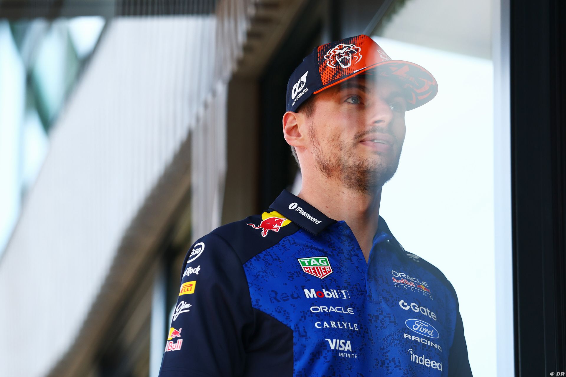 redbull_54_-2.jpg