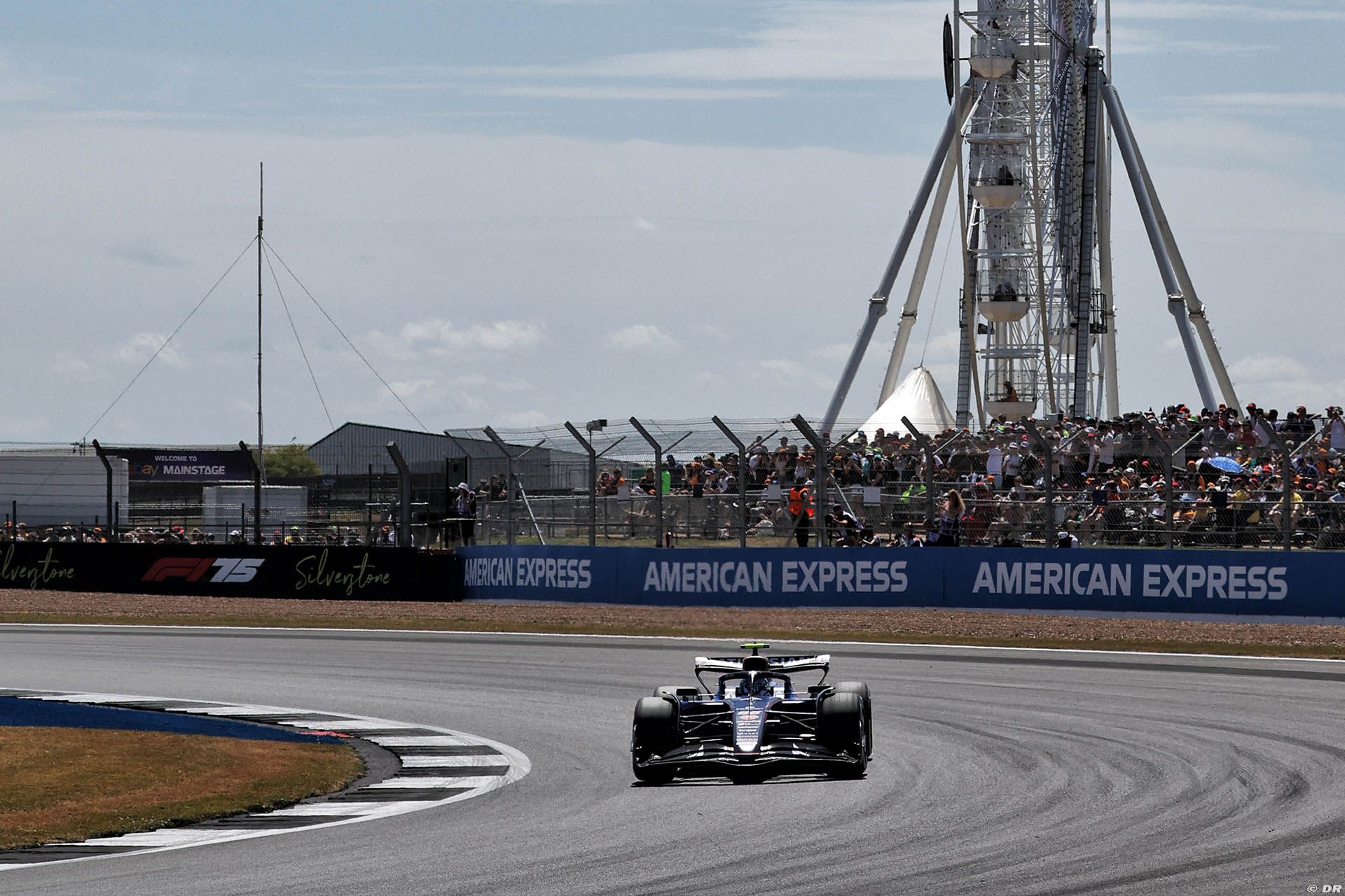 williams1_30_.jpg