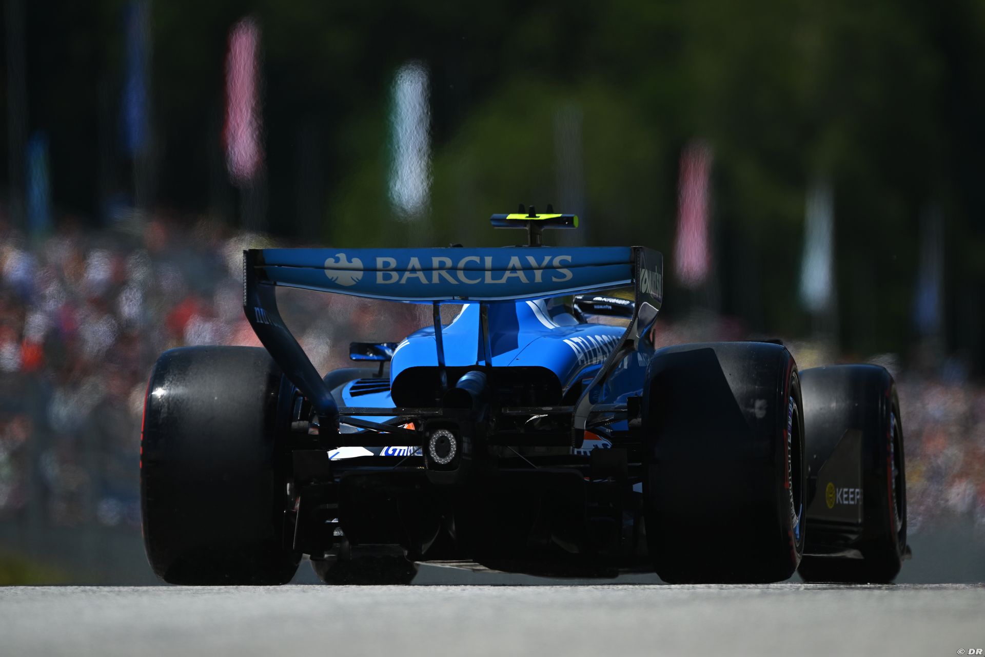 williams_29_-2.jpg