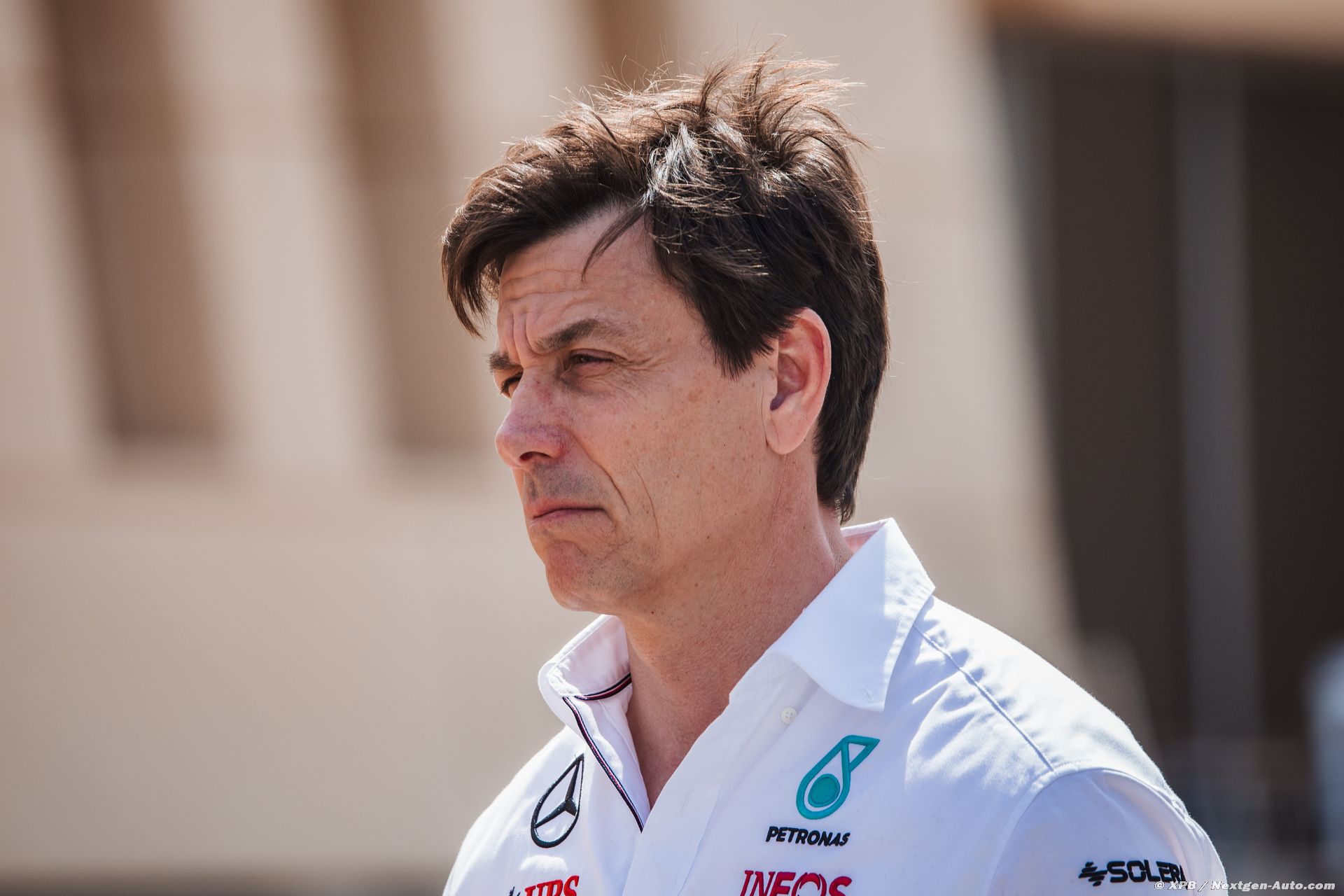 wolff_3_-3.jpg