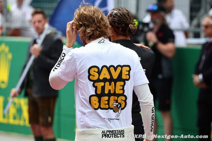 Vettel to 'save bees' (…)