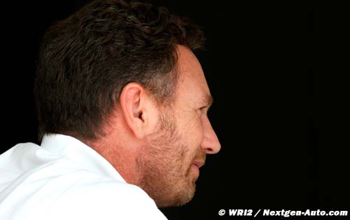 Tyre rules may not spice up F1 - Horner