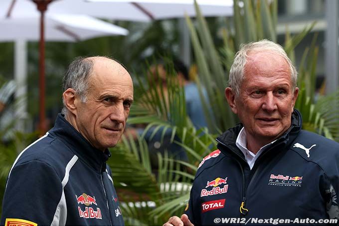 Red Bull tries to calm Toro Rosso-Renaul