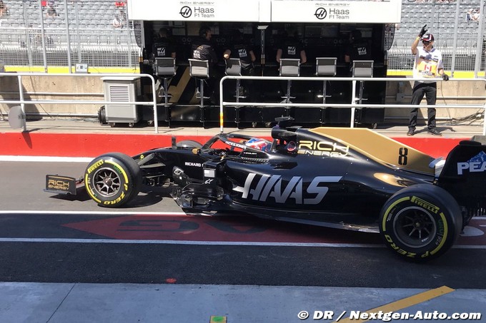Haas removes 'stag' logo (…)