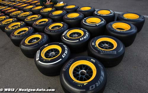 The Malaysian Grand Prix from a tyre (…)