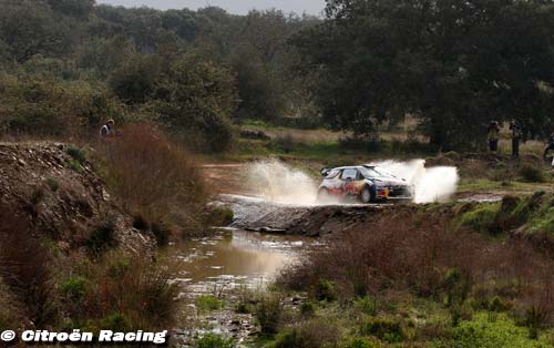 Thierry Neuville de Goodwood à (…)