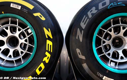 The British Grand Prix from a tyre (…)