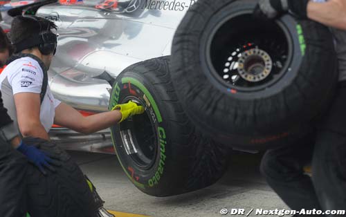The German Grand Prix from a tyre (…)