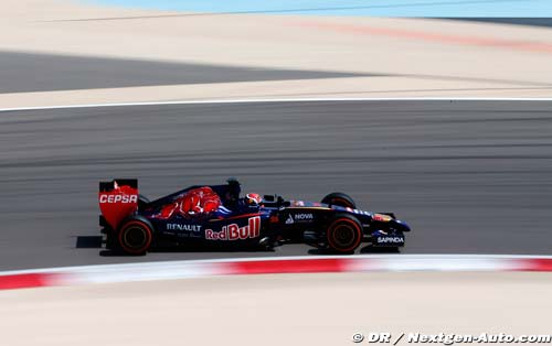 Bahrain 2014 - GP Preview - Toro (...)