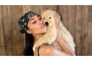 Kim Kardashian dévoile Halo, le nouveau chien de Lewis Hamilton