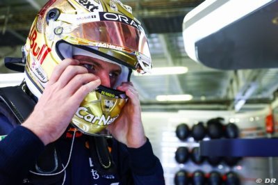 Ricciardo not needed in Red Bull sim - Verstappen