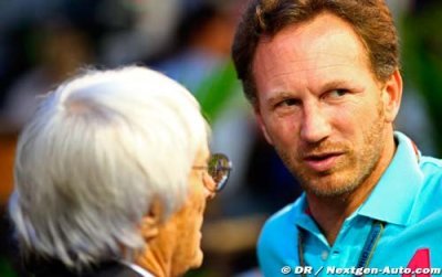 Moteurs 2015&nbsp;: Horner trouve la situation ridicule