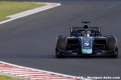 Hungaroring, Course 2&nbsp;: Albon sort du bois en fin de course