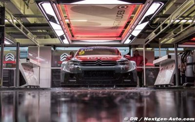 Matton&nbsp;: Un titre WTCC, c’est déjà une grande année