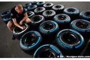 Teams should make own tyre compound choice - Force India