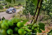 Wilson ne veut aucun relâchement chez M-Sport