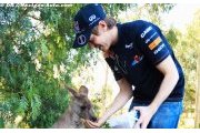Vettel quiet after title win indulgence