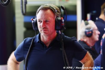 FIA ’right’ to oust F1 steward Herbert - Horner