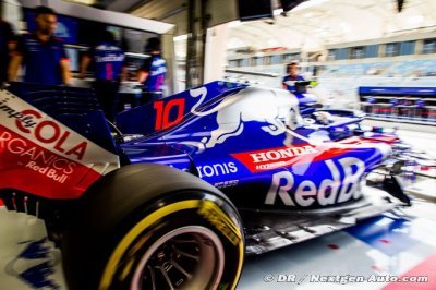 Red Bull suit avec attention les performances de Toro Rosso et Honda