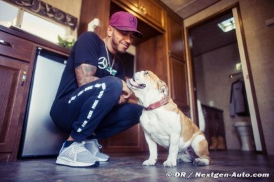 Hamilton continue à effectuer sa transition vers le veganisme