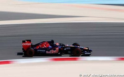 Bahrain 2014 - GP Preview - Toro Rosso Renault