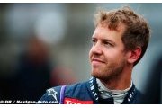 Vettel will have say over 2014 teammate - Marko