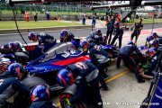Toro Rosso - Honda ? Red Bull a été trop gourmande !