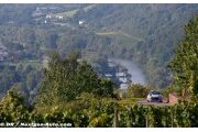 Strong start for Hyundai on home ground at Rallye Deutschland